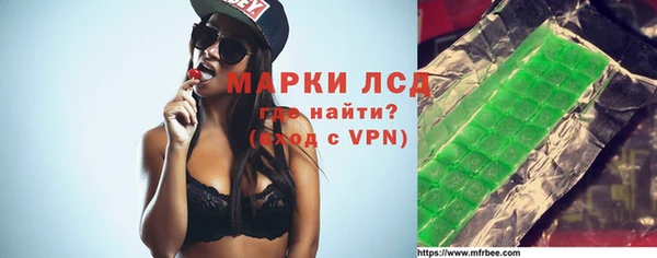 гашик Новодвинск