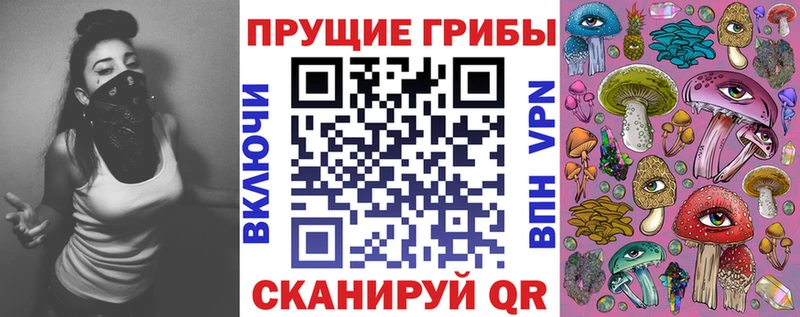 где можно купить наркотик Нижние Серги Псилоцибиновые грибы GOLDEN TEACHER